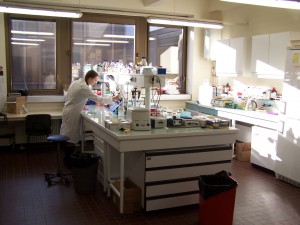 Laboratoire