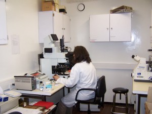 Salle des microscopes