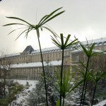 Bâtiment Lasjaunias sous la neige