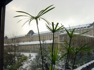 Bâtiment Lasjaunias sous la neige